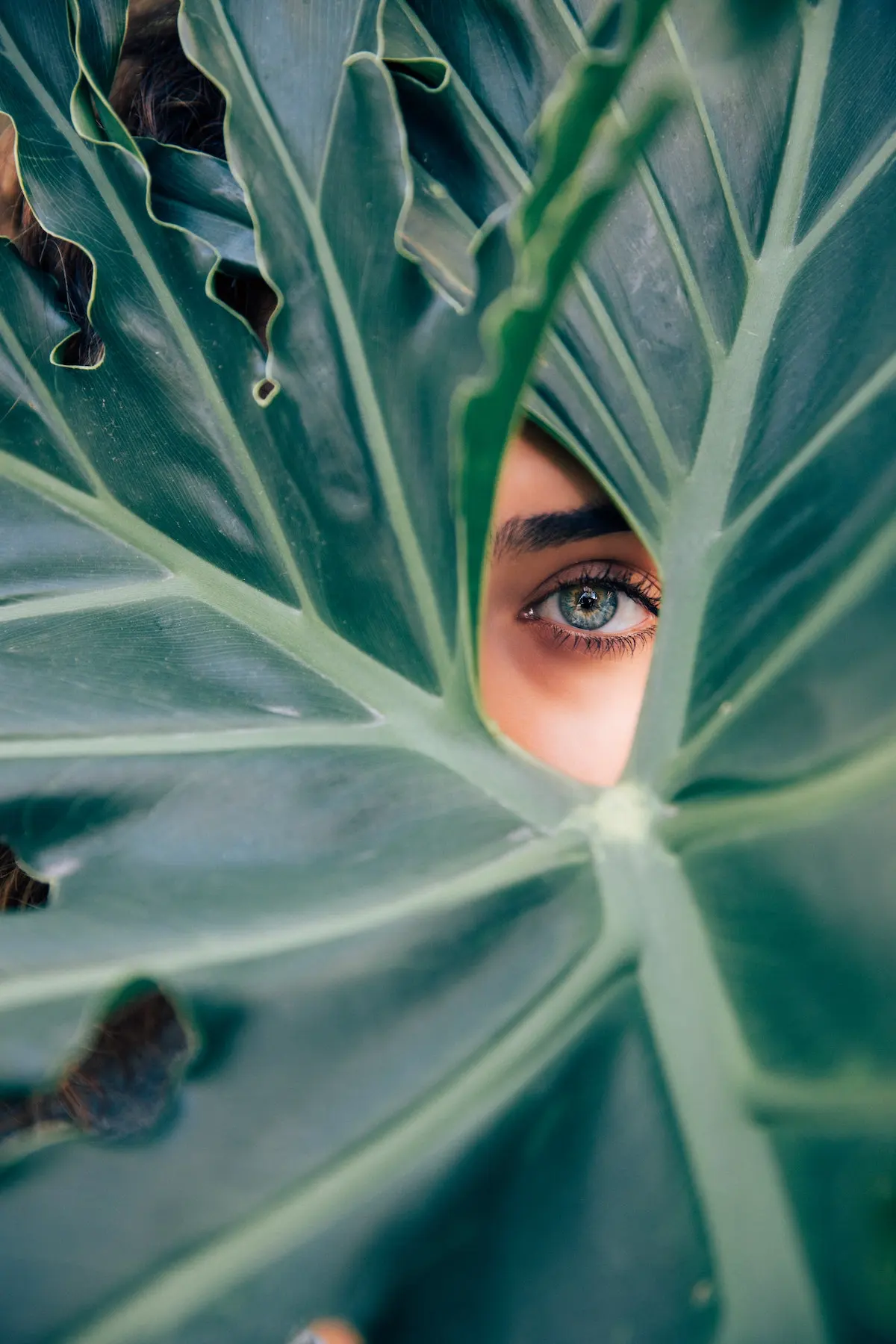 woman with beautiful eyes peering through large foliage with one eye. 